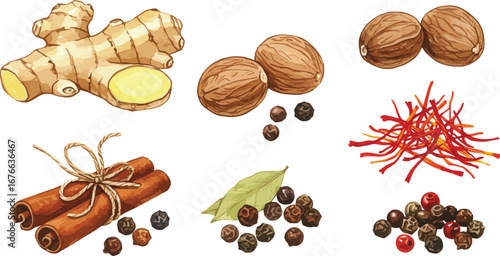 A collection of various spices and ingredients for cooking and baking on transparent background
