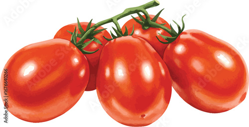 Fresh ripe red tomatoes on a vine against a white background on transparent background