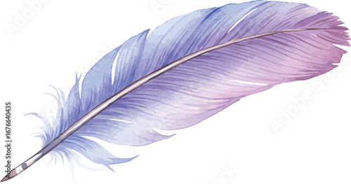 A delicate purple and blue feather on a white background on transparent background