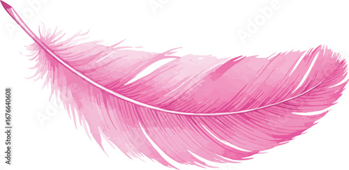 A single pink feather isolated on a white background on transparent background