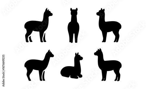 Silhouette set of llama poses: standing, sitting, side view