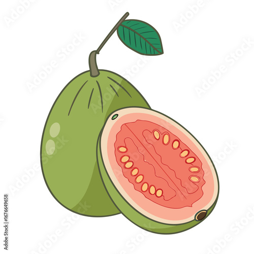 Green guava fruit with pink flesh and seeds vector
