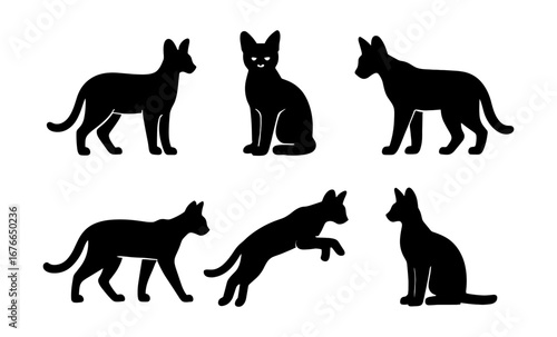 Black cat silhouettes: elegant poses and movements
