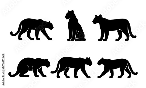 Panther silhouettes: elegant black cat poses and movements in collection