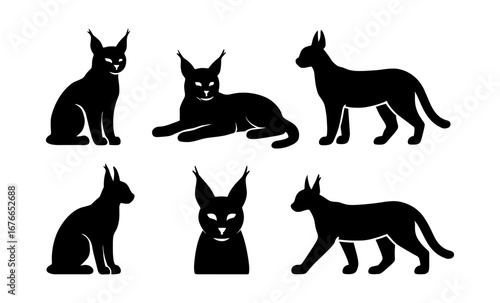 Wildcat silhouette collection: elegant poses of lynx and bobcat in minimalist style