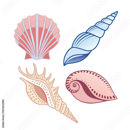 Pink and blue seashells and conch shells scallop spiral