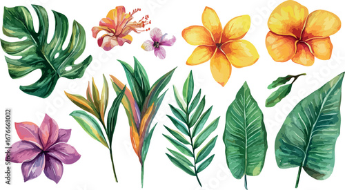 Vibrant watercolor collection of tropical jungle leaves and exotic flowers on a white background