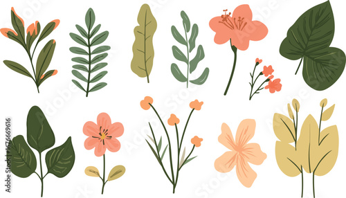 Collection of hand drawn botanical elements featuring various leaves and flowers in soft colors