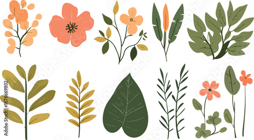 Collection of various hand drawn botanical illustrations featuring delicate flowers and lush green leaves