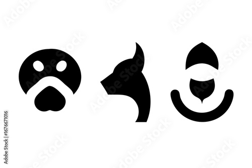 black and white cats