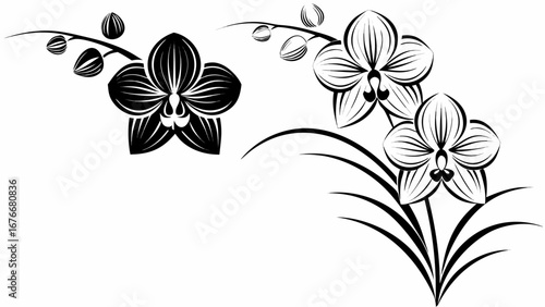 Elegant black orchid flowers silhouette design, perfect for modern branding and stylish decor