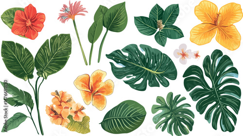 Collection of vibrant tropical flowers and lush green leaves isolated on a white background