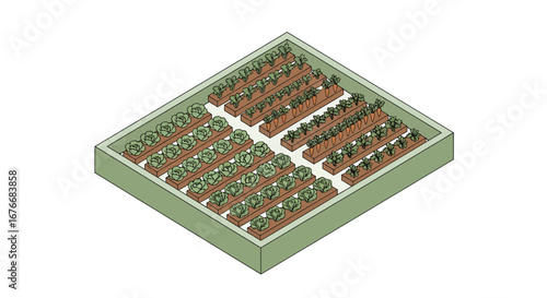 Raised garden beds with growing vegetables