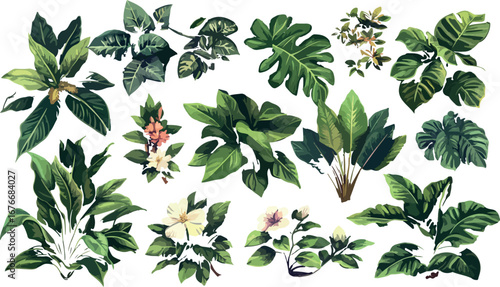 Collection of lush green tropical aquarium plants with varying leaf shapes and textures