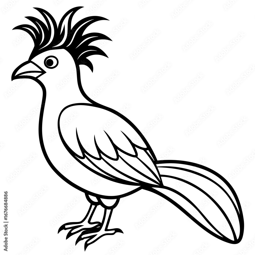 Fototapeta premium Hoatzin line art vector