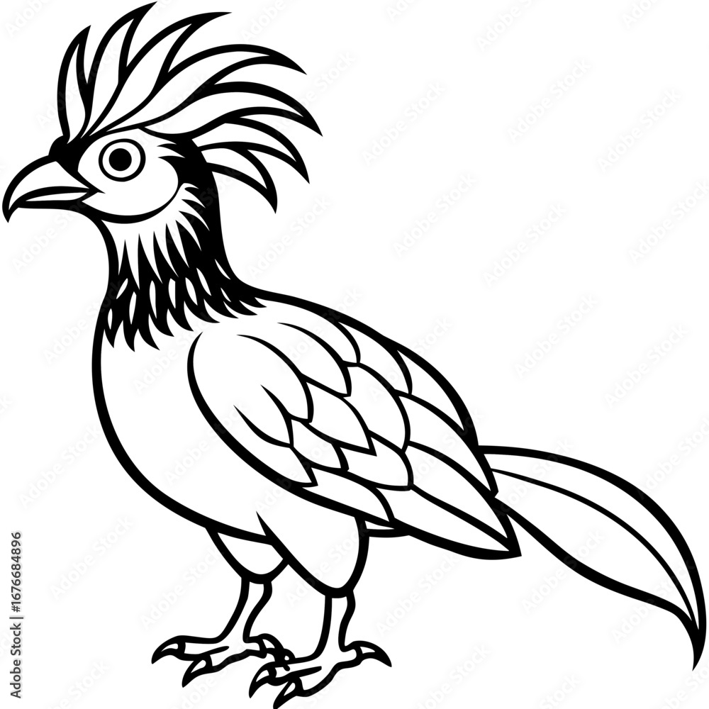 Fototapeta premium Hoatzin line art vector