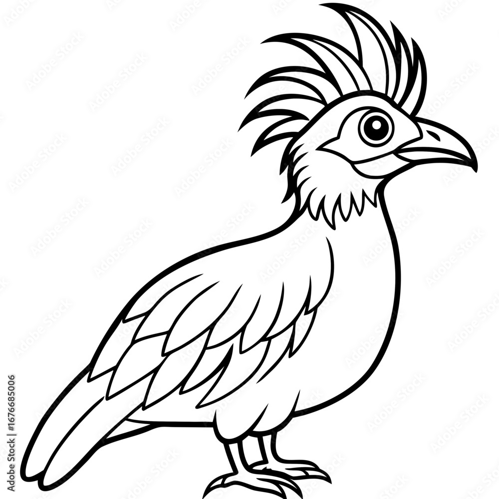 Fototapeta premium Hoatzin line art vector