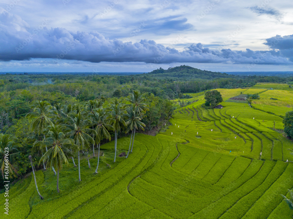 Fototapeta premium Wonderful sunrise scenery indonesia nature mountain valley forest with bright sky