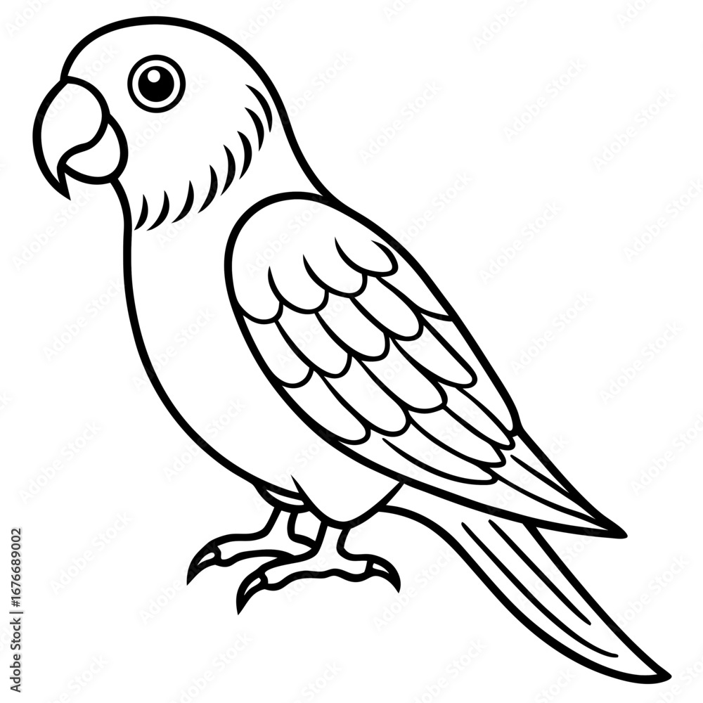 Obraz premium Parakeet line art vector