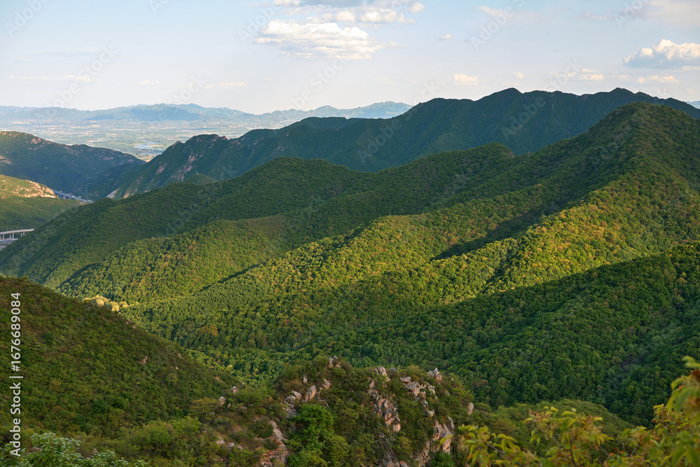 Fototapeta premium Majestic Lush Green Mountain Range Bathed in Golden Sunlight on a Clear Day