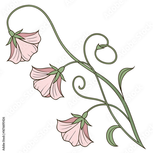 Elegant Floral Illustration: A delicate illustration features a trio of softly hued bell-shaped flowers, each meticulously drawn with graceful lines and subtle details.