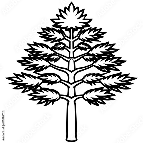 Monkey‑puzzle Tree line art vector