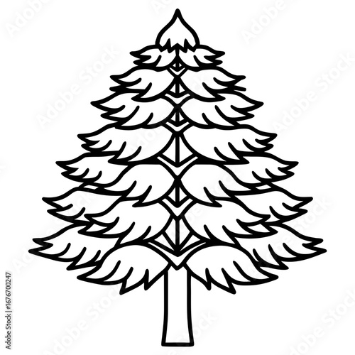 Monkey‑puzzle Tree line art vector