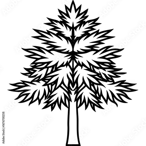 Monkey‑puzzle Tree line art vector
