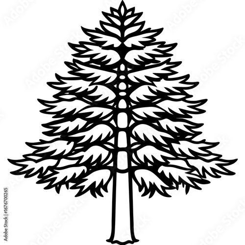 Monkey‑puzzle Tree line art vector