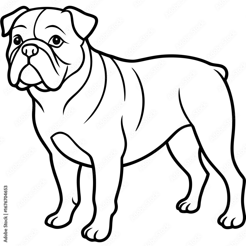 Fototapeta premium Bulldog line art vector