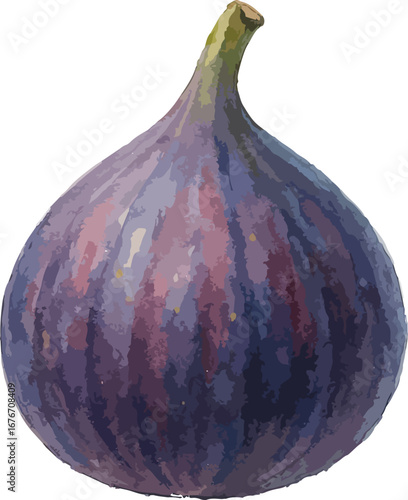 fig fruit