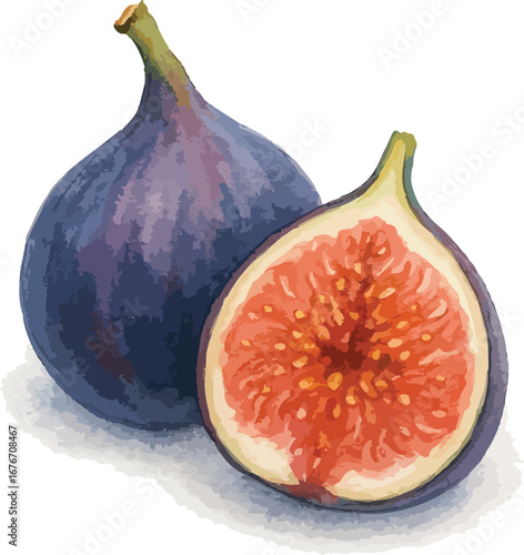 fig fruit