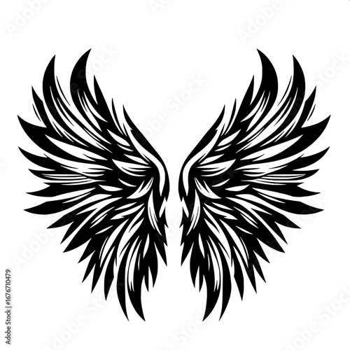 Black and White Vector Silhouette T-Shirt Design of Wings Spread Open