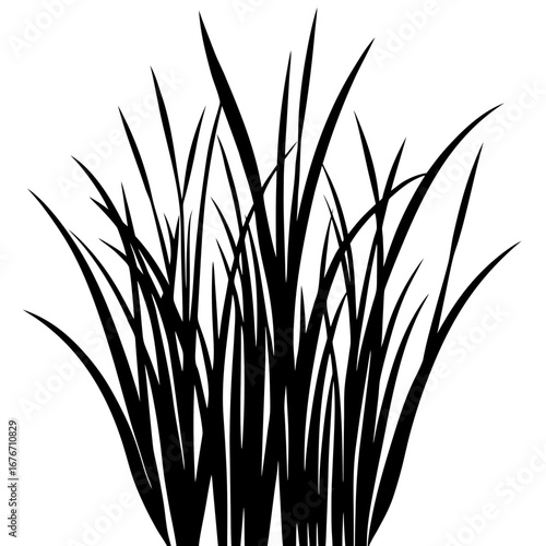 Gras vector silhouette black design white background