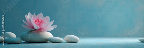 Soft pink lotus flower rests atop smooth white stones against a calming teal background