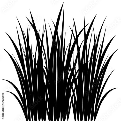 Gras vector silhouette black design white background