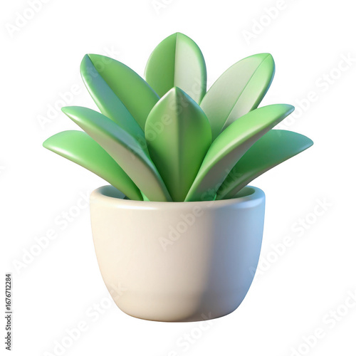 3d succulent plant in white pot isolated on transparent background
