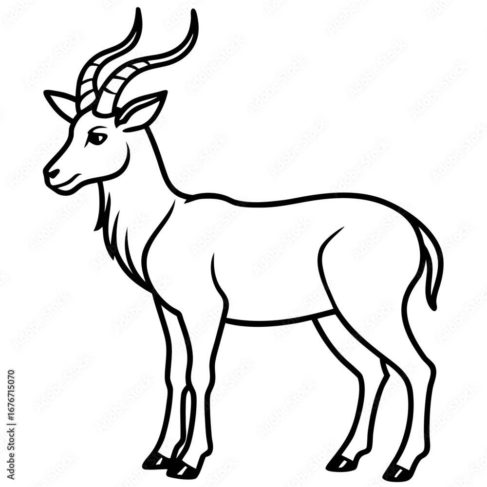 Fototapeta premium Markhor line art vector