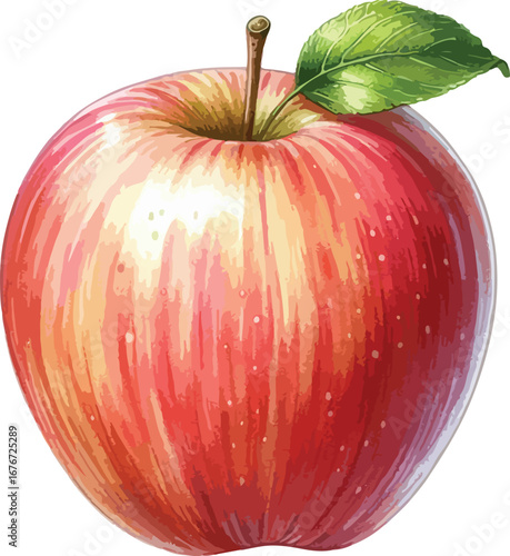 Hand drawn water colour Apple fruit