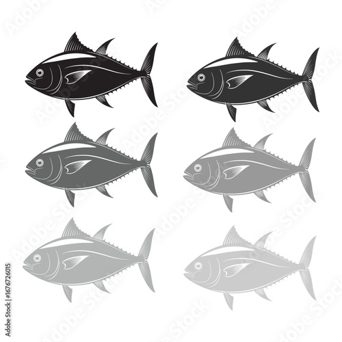 Tuna Fish Illustration Set