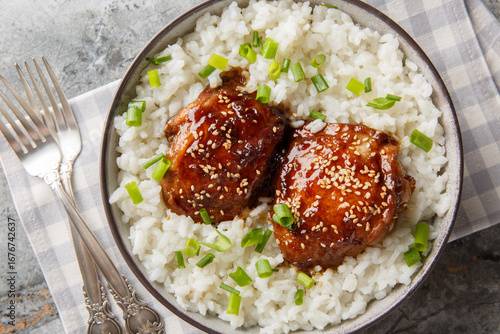 Shoyu Chicken is a classic Hawaiian dish featuring tender, juicy chicken simmered in a savory-sweet shoyu soy sauce served with white rice closeup. Horizontal top view from above