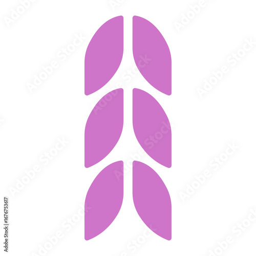 Shape Swiss Design Aesthetic