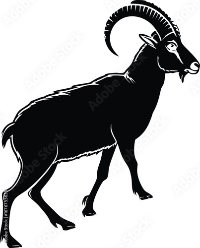 ram black silhouette vector, artwork illustration 