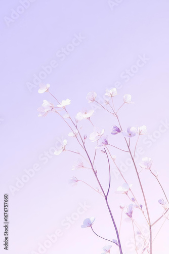 Delicate flowers against soft purple background create serene and calming atmosphere