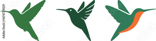 Set of three detailed hummingbird logos in various green shades, ideal for brands focused on nature, swiftness, and beauty.