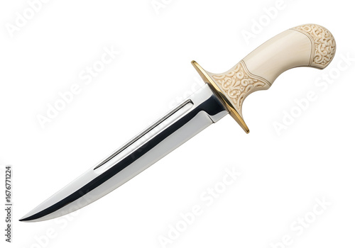 A meticulously crafted dagger with a decorative bone handle and polished steel blade.