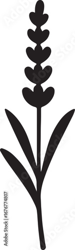 Silhouette vector of a lavender stem, fragrant herbal plant icon in EPS format for design projects.