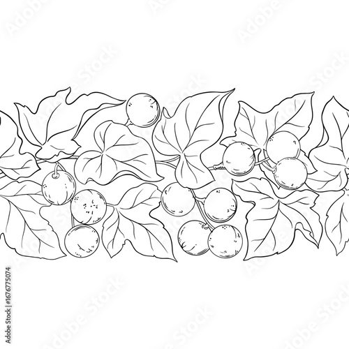 Kukui Branch with Flowers, Nuts and Leaves Outline Horizontal Seamless Pattern. Organic natural nutritional healthy food ingredient, vegetarian diet product. Vector isolated for design or decoration.