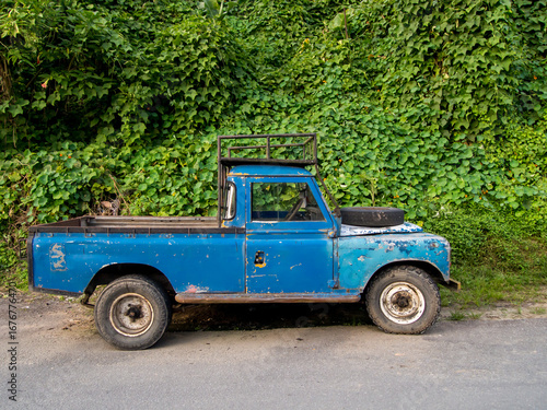 Old rustic blue pickup truck by green roadside