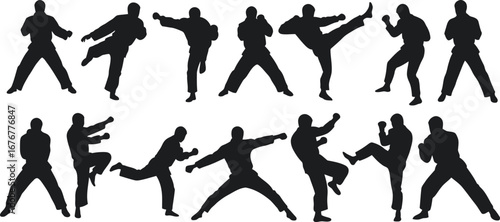 Diverse Karate Silhouette Figures in Dynamic Action Poses.